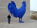 BLueBigBird