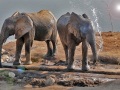 TwoElephantsBathing