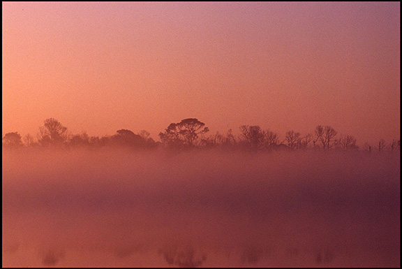 red fog 300 dpi envyronment